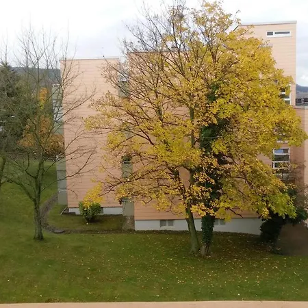 Apartment Alexa Ferienwohnung Bad Harzburg